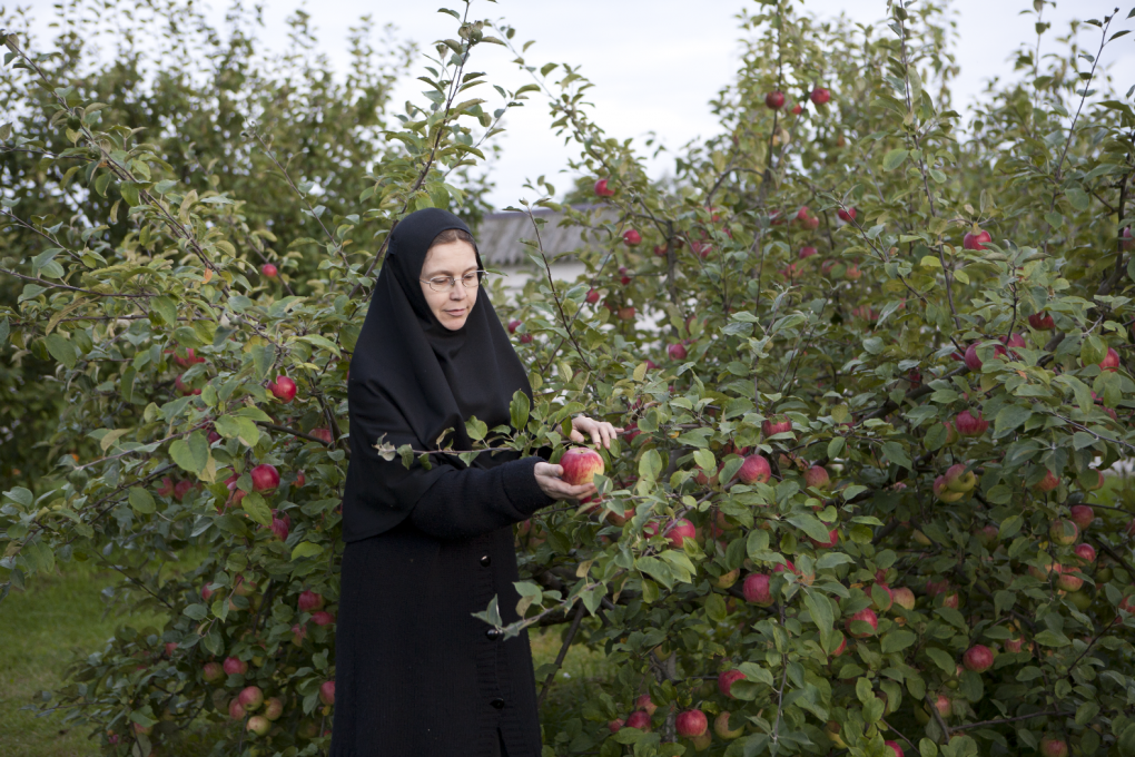 В яблоневом саду Вознесенского Оршина монастыря